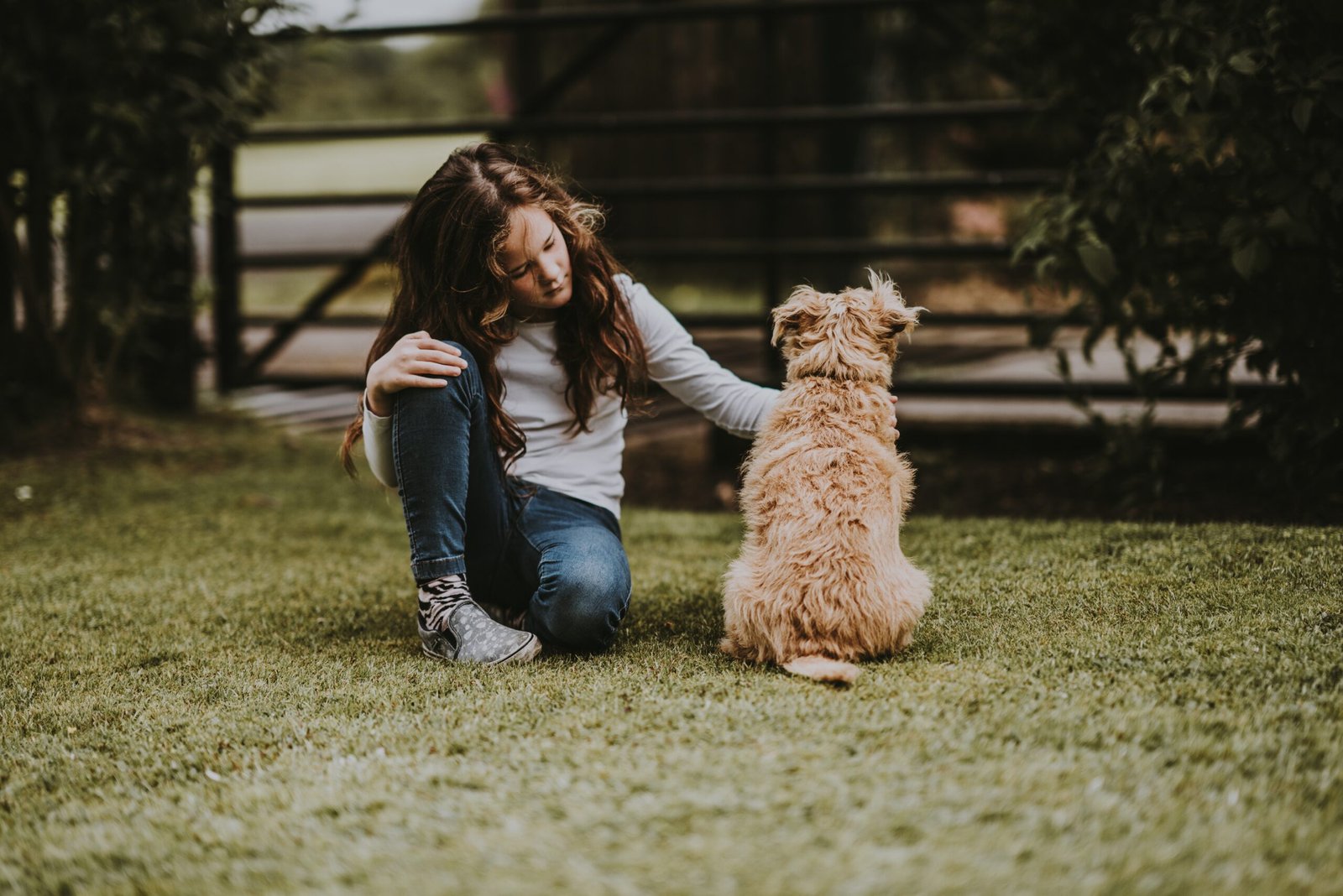 girl petting dog