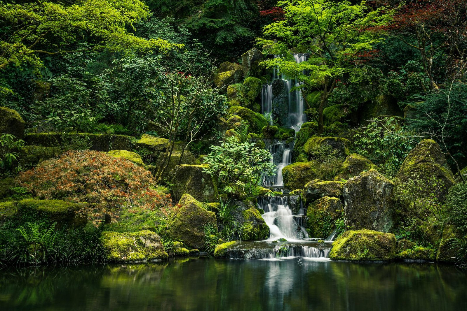 green moss on rock formation near water falls