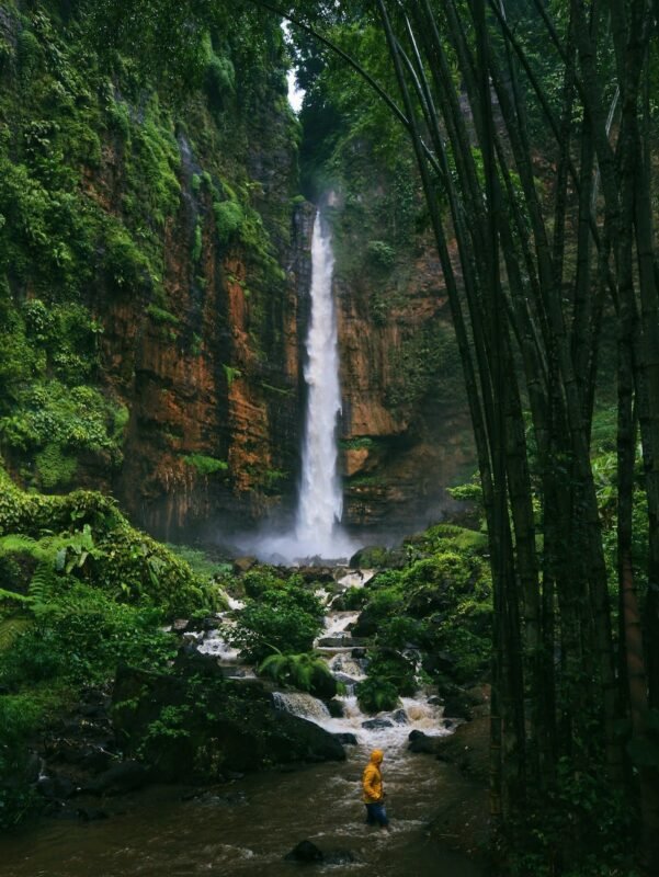 rapid waterfall in green mountains near river