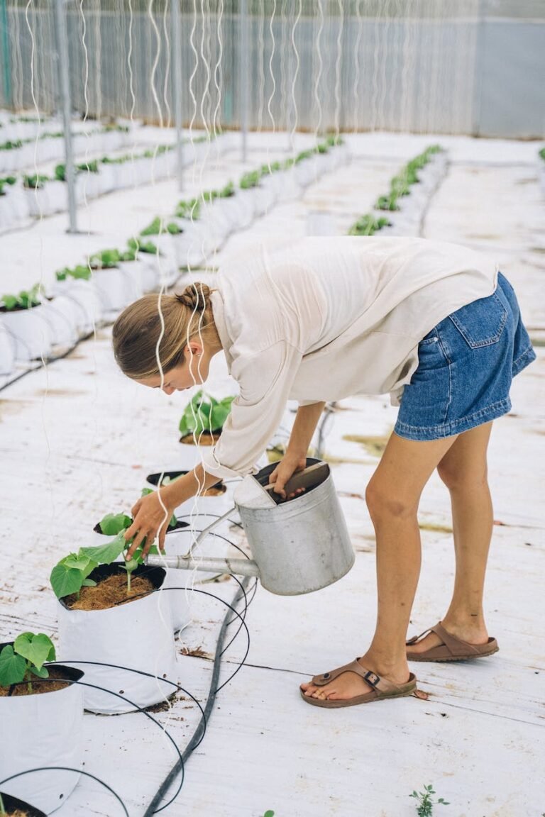 woman in white shirt and blue denim shorts watering a potted plant