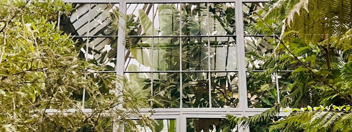 a white door in a greenhouse surrounded by trees