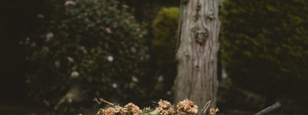 flowers in wheelbarrow