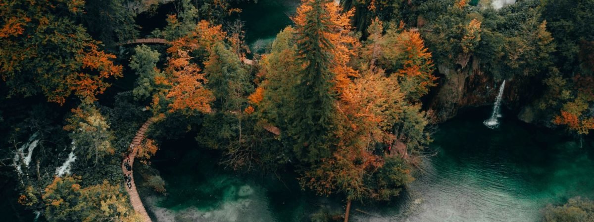 green-colored lakes