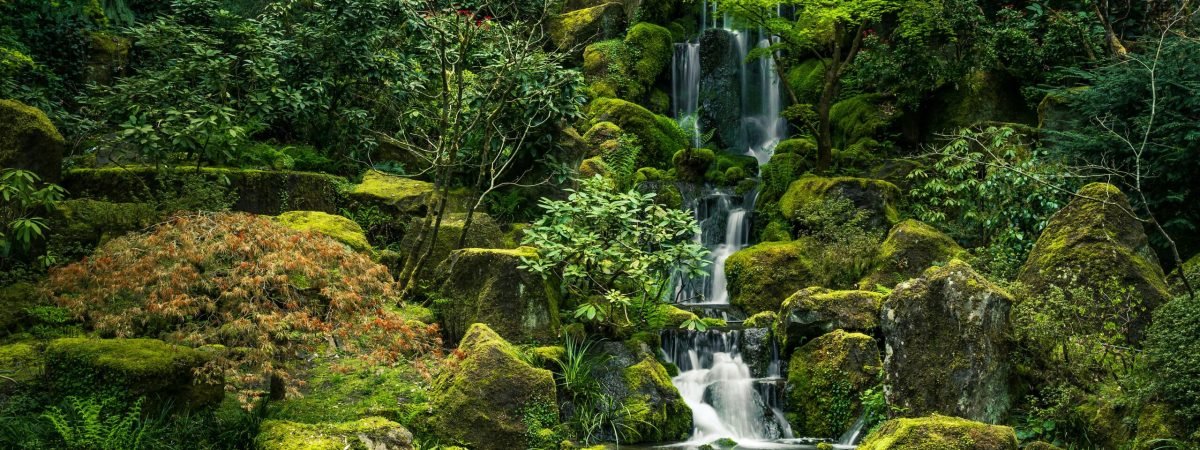 green moss on rock formation near water falls