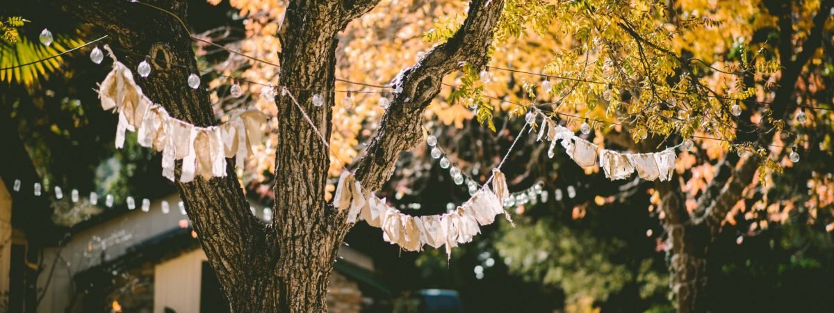 orange leafed tree with orange banderittas