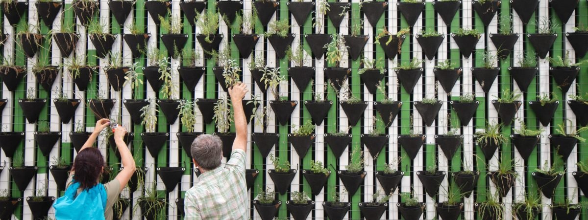 person planting on hanged pots