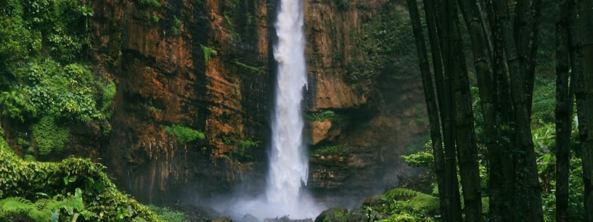 rapid waterfall in green mountains near river