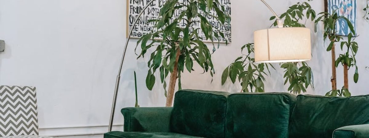 living room interior with furniture and plants at home