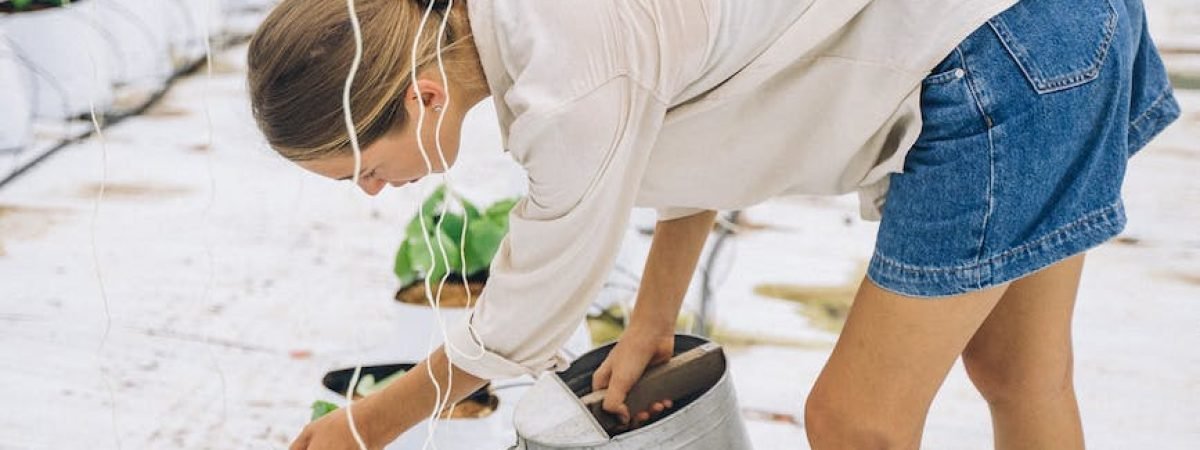 woman in white shirt and blue denim shorts watering a potted plant