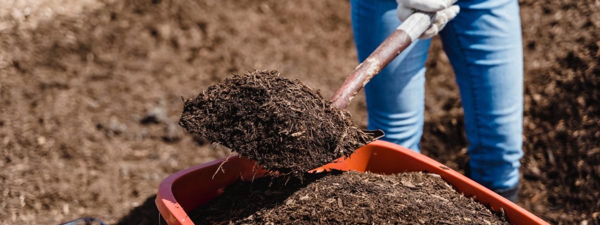 brown soil in orange plastic bucket